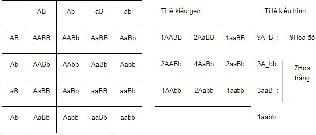 Tóm tắt lý thuyết Sinh học 12 bài 10