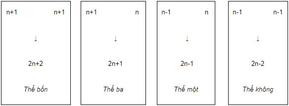 Tóm tắt lý thuyết Sinh học 12 bài 6