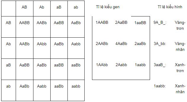 Tóm tắt lý thuyết Sinh học 12 bài 9