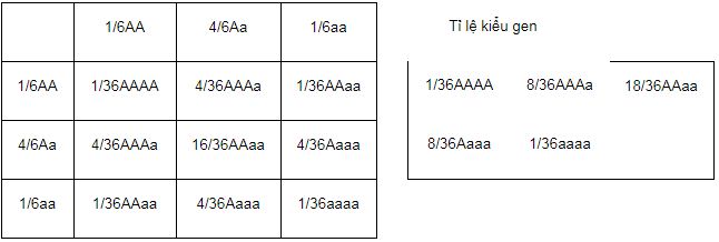 Tóm tắt lý thuyết Sinh học 12 bài 9