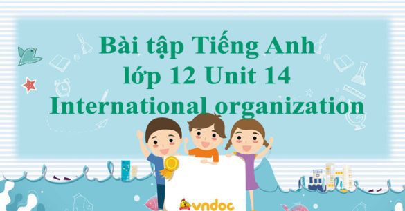 Bộ bài tập tiếng Anh lớp 12 Unit 14 International organizations có đáp án