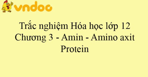 Trắc nghiệm Hóa học lớp 12: Chương 3 - Amin - Amino axit - Protein