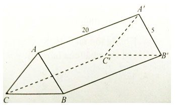 Trắc nghiệm Toán 12 chương 1