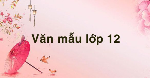 Văn mẫu lớp 12