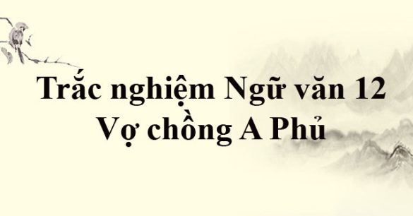 Trắc nghiệm Ngữ Văn 12 bài Vợ chồng A Phủ