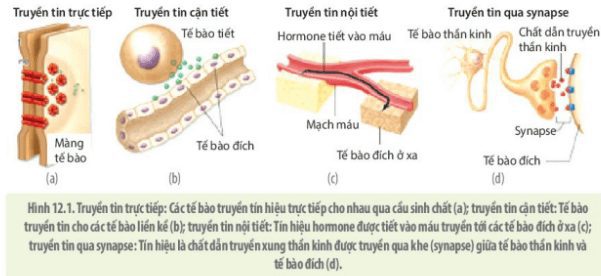 lý thuyết môn Sinh 10