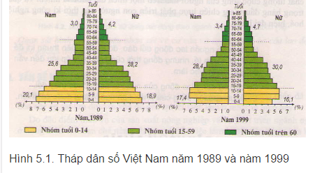 Thực hành phân tích và so sánh tháp dân số năm 1989 và năm 1999