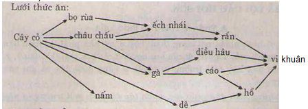 Bài tập sinh học lớp 9