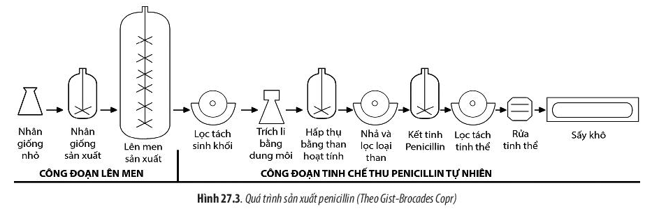 Lý thuyết môn Sinh học 10