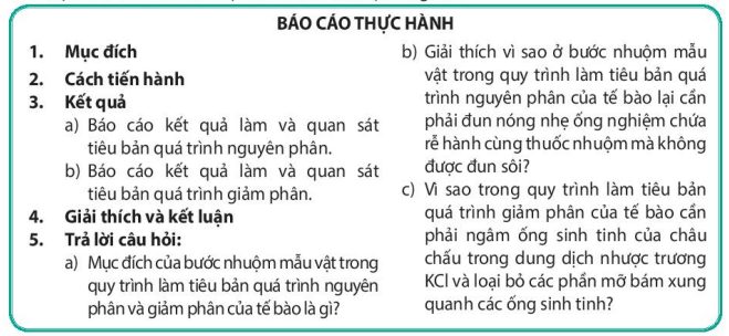 lý thuyết sinh 10