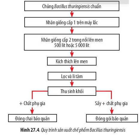 Lý thuyết môn Sinh học 10