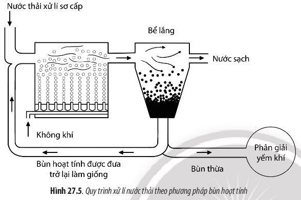 Lý thuyết môn Sinh học 10