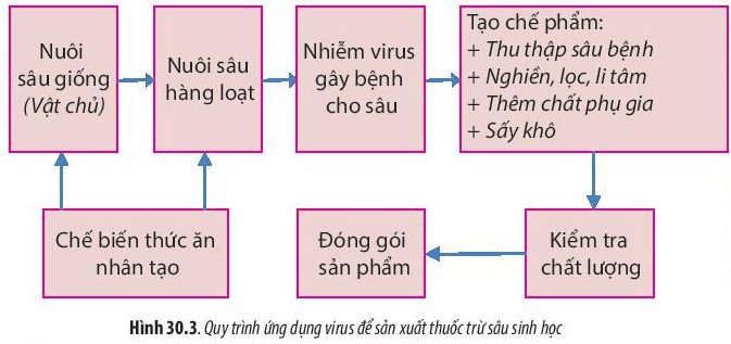 Lý thuyết sinh học 10