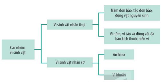 lý thuyết sinh 10