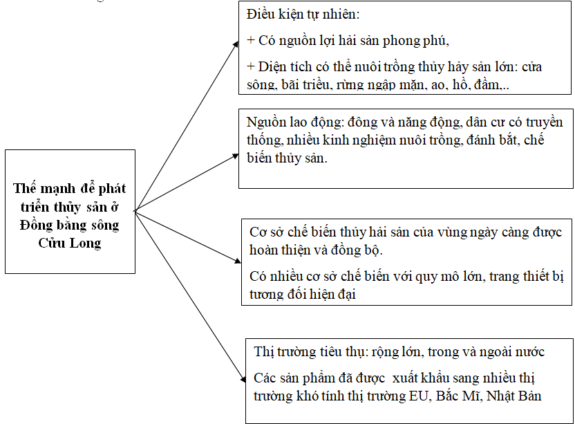 Giải VBT Địa Lý lớp 9 bài 37: Thực hành: Vẽ và phân tích biểu đồ về tình hình sản xuất