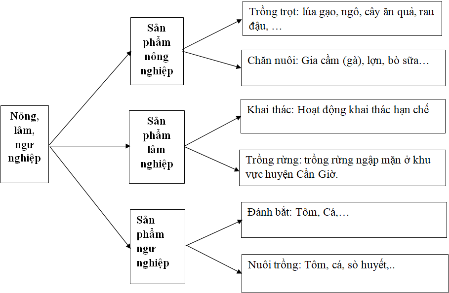 Giải VBT Địa Lý 9 bài 43: Địa lí tỉnh thành phố (tiếp theo)