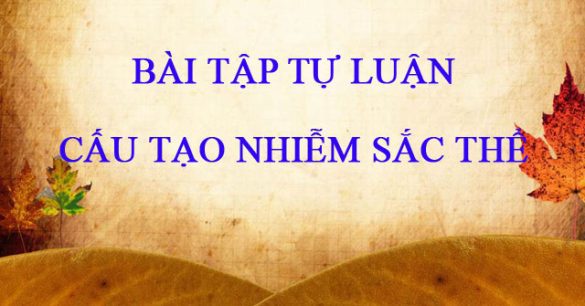 Bài tập tự luận Cấu tạo nhiễm sắc thể