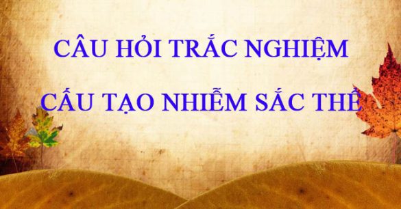 Câu hỏi trắc nghiệm Cấu tạo nhiễm sắc thể