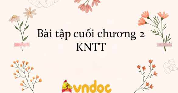 Bài tập cuối chương 2 KNTT