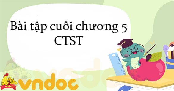 Bài tập cuối chương 5 CTST