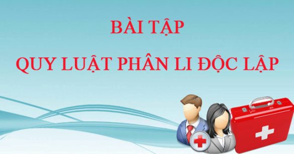 Câu hỏi trắc nghiệm Quy luật phân li độc lập