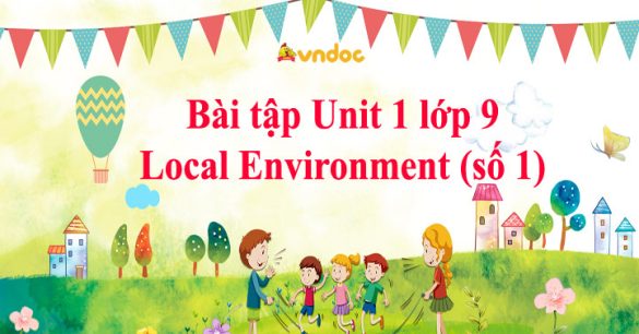 Bài tập Unit 1 lớp 9 nâng cao Local Environment