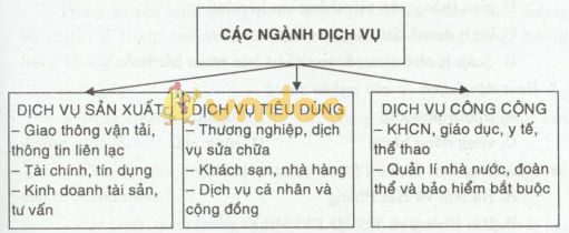 Vai trò, đặc điểm phát triển và phân bố của dịch vụ