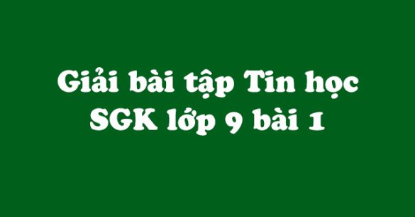 Giải bài tập SGK Tin học 9 bài 1