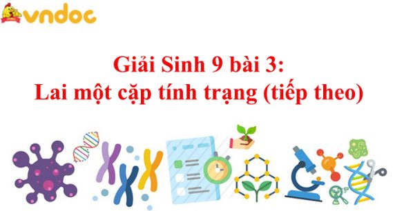 Giải Sinh 9 bài 3: Lai một cặp tính trạng (tiếp theo)