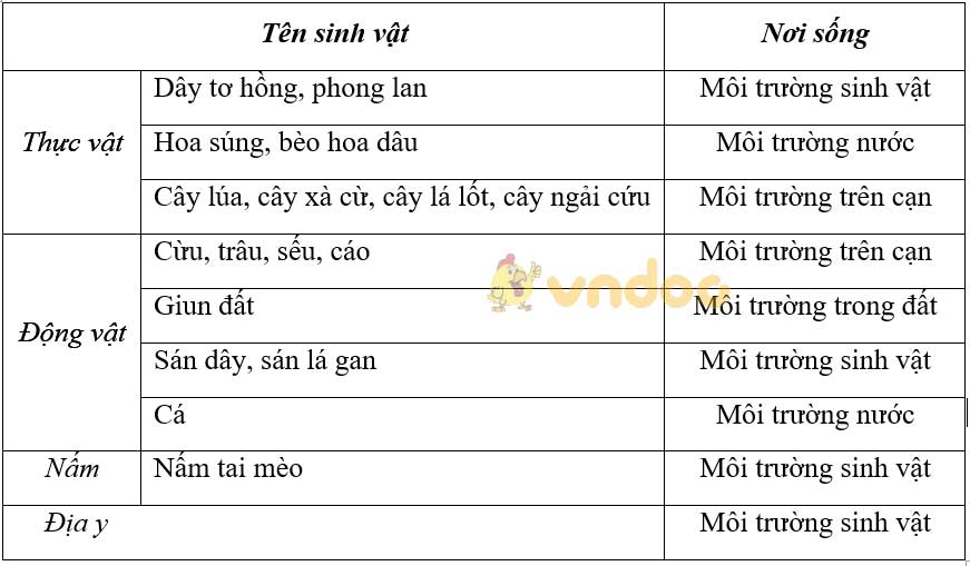 Giải bài tập Sinh học lớp 9 bài 45-46: Thực hành: Tìm hiểu môi trường và ảnh hưởng của một số nhân tố sinh thái lên đời sống sinh vật