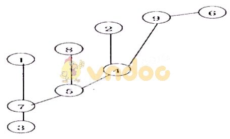 Giải bài tập Sinh học lớp 9 bài 64: Tổng kết chương trình toàn cấp