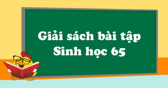 Giải bài tập Sinh học lớp 9 bài 65