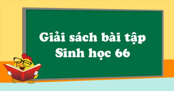 Giải bài tập Sinh học lớp 9 bài 66