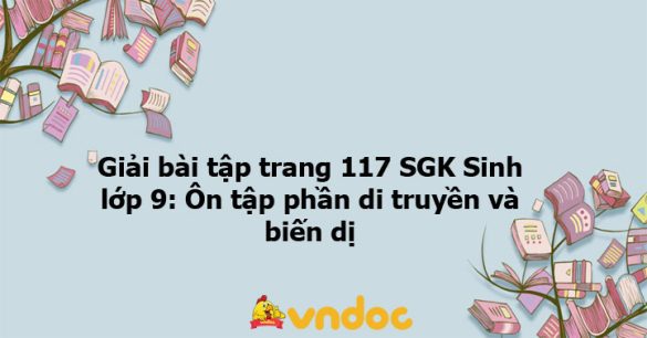 Giải bài tập trang 117 SGK Sinh lớp 9: Ôn tập phần di truyền và biến dị