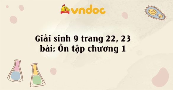 Giải sinh 9 trang 22, 23 bài: Ôn tập chương 1