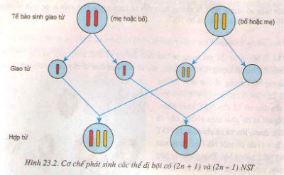 Bài tập môn Sinh học lớp 9