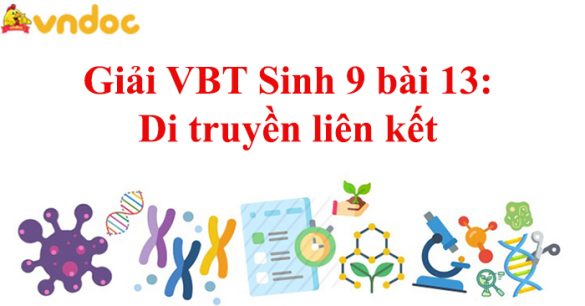 Giải VBT Sinh học 9 bài 13: Di truyền liên kết