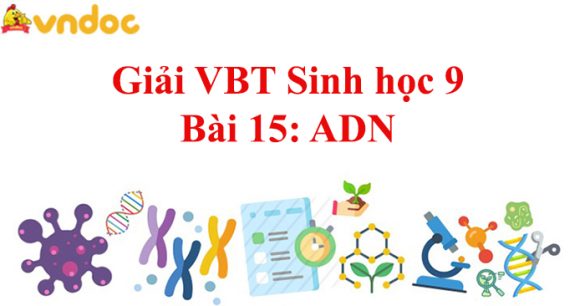 Giải VBT Sinh học 9 bài 15: ADN