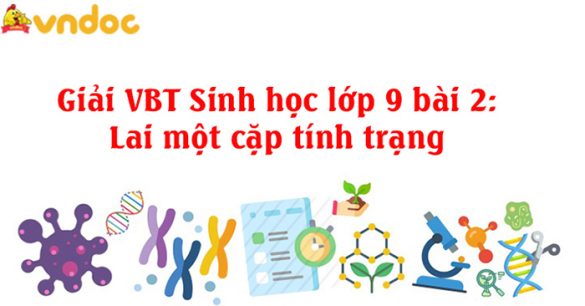 Giải VBT Sinh 9 bài 2: Lai một cặp tính trạng