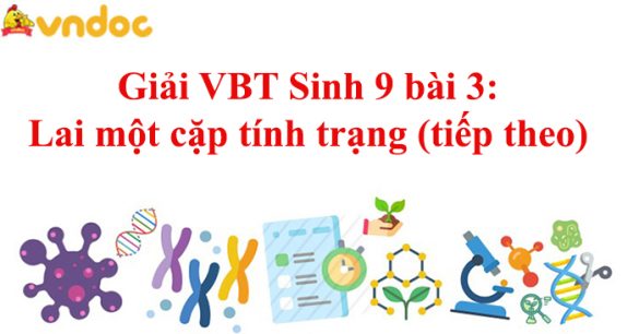 Giải VBT Sinh 9 bài 3: Lai một cặp tính trạng (tiếp theo)