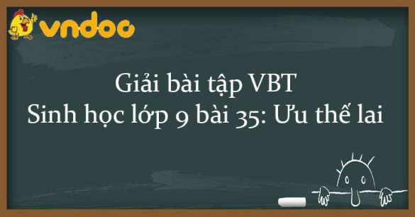 Giải bài tập VBT Sinh học lớp 9 bài 35: Ưu thế lai