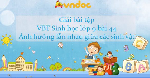 Giải bài tập VBT Sinh học lớp 9 bài 44: Ảnh hưởng lẫn nhau giữa các sinh vật