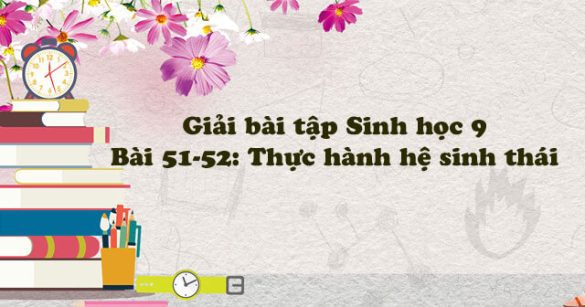 Giải bài tập Sinh học 9 Bài 51 - 52: Thực hành: Hệ sinh thái