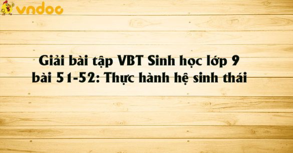 Giải VBT Sinh học 9 bài 51-52: Thực hành hệ sinh thái