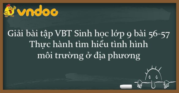 Giải VBT Sinh học 9 bài 56-57: Thực hành tìm hiểu tình hình môi trường ở địa phương