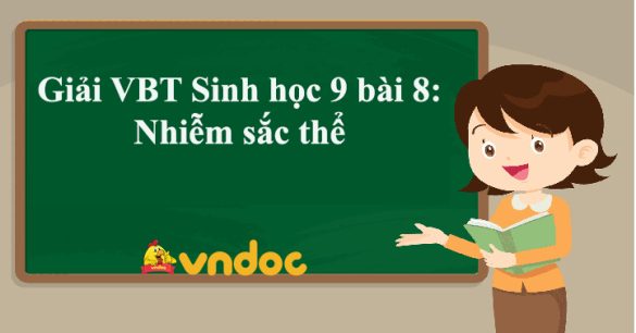 Giải VBT Sinh học 9 bài 8: Nhiễm sắc thể