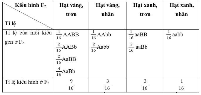 Bài tập sinh học 9