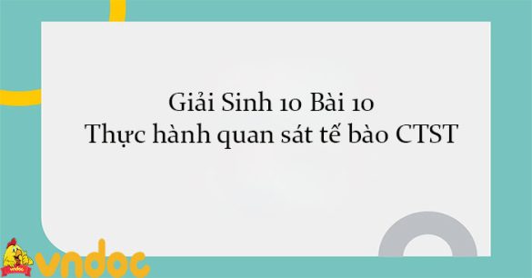 Giải Sinh 10 Bài 10: Thực hành quan sát tế bào CTST