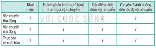 Giải Sinh 10 Bài 10: Trao đổi chất qua màng tế bào KNTT