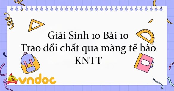 Giải Sinh 10 Bài 10: Trao đổi chất qua màng tế bào KNTT